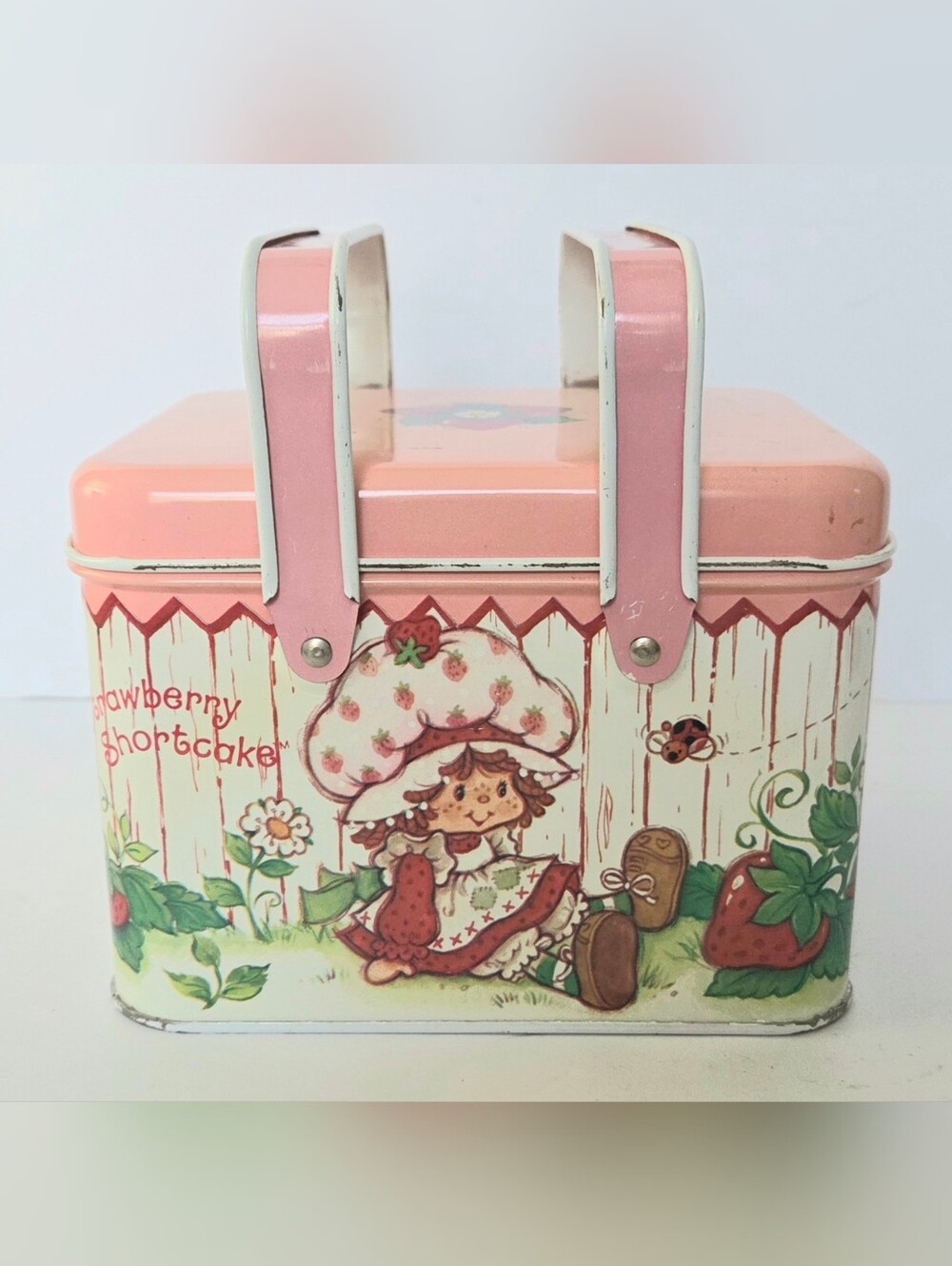 VINTAGE 1980's STRAWBERRY SHORTCAKE TIN METAL PICNIC LUNCH BOX WITH HANDLES